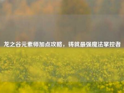 龙之谷元素师加点攻略，铸就最强魔法掌控者