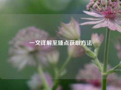 一文详解至臻点获取方法