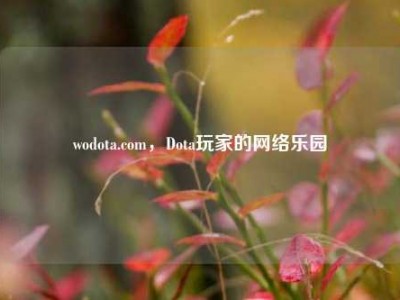 wodota.com，Dota玩家的网络乐园