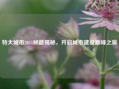 特大城市2011秘籍揭秘，开启城市建设巅峰之旅