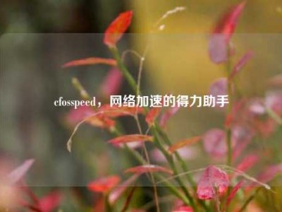 cfosspeed，网络加速的得力助手