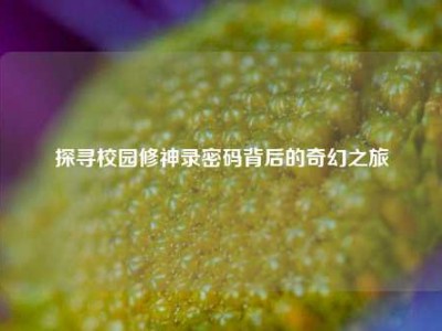 探寻校园修神录密码背后的奇幻之旅