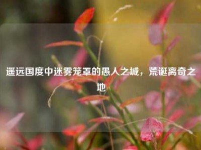 遥远国度中迷雾笼罩的愚人之城，荒诞离奇之地