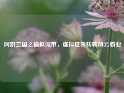 网游三国之模拟城市，虚拟世界铸就风云霸业