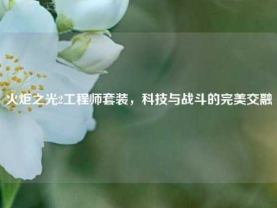火炬之光2工程师套装，科技与战斗的完美交融