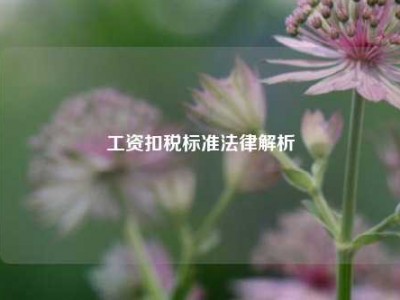 工资扣税标准法律解析