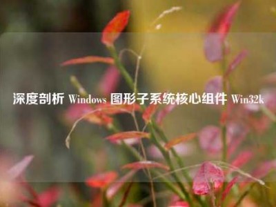 深度剖析 Windows 图形子系统核心组件 Win32k