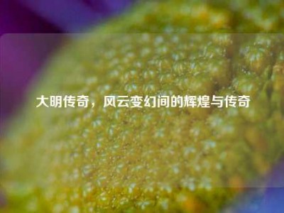 大明传奇，风云变幻间的辉煌与传奇