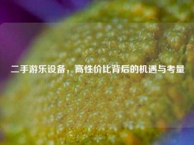 二手游乐设备，高性价比背后的机遇与考量