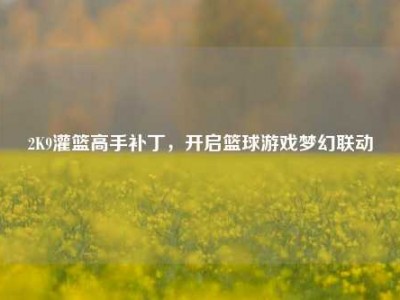 2K9灌篮高手补丁，开启篮球游戏梦幻联动