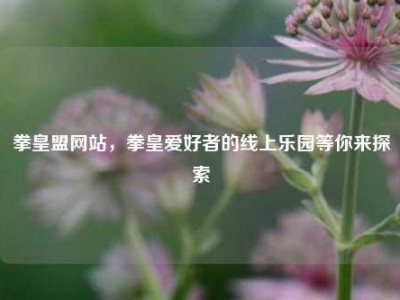 拳皇盟网站，拳皇爱好者的线上乐园等你来探索