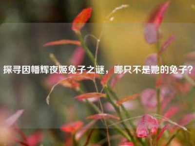 探寻因幡辉夜姬兔子之谜，哪只不是她的兔子？