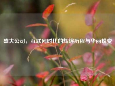 盛大公司，互联网时代的辉煌历程与华丽蜕变