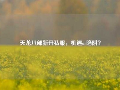 天龙八部新开私服，机遇or陷阱？