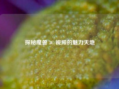 探秘魔兽 3C 视频的魅力天地