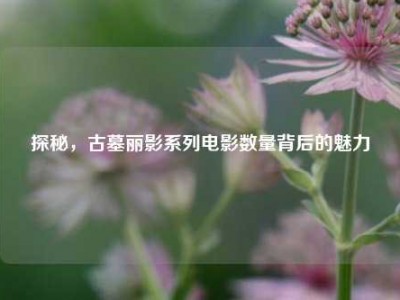 探秘，古墓丽影系列电影数量背后的魅力