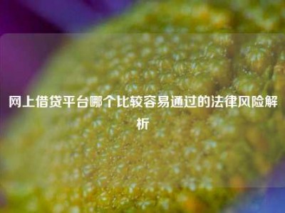 网上借贷平台哪个比较容易通过的法律风险解析