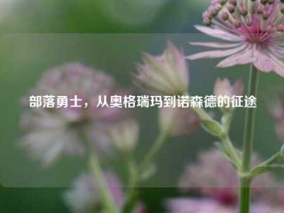 部落勇士，从奥格瑞玛到诺森德的征途