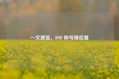 一文速览，DNF 称号簿位置