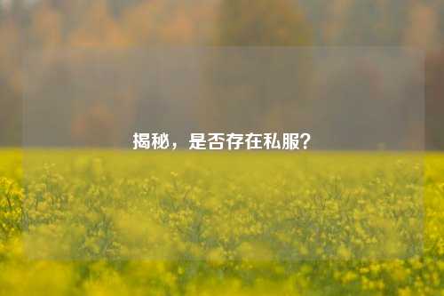 揭秘,是否存在私服?