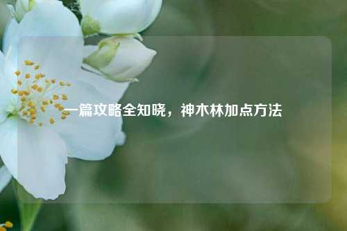 一篇攻略全知晓，神木林加点方法