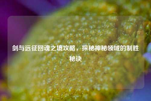 剑与远征回魂之境攻略，探秘神秘领域的制胜秘诀