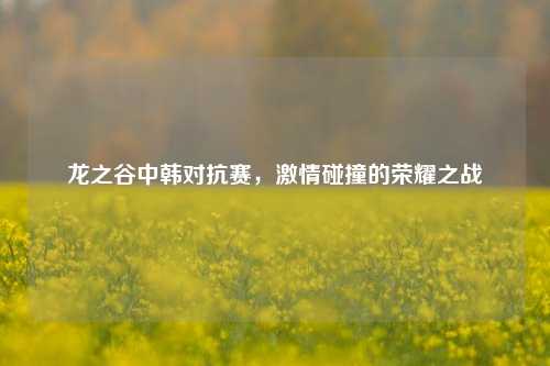 龙之谷中韩对抗赛，激情碰撞的荣耀之战