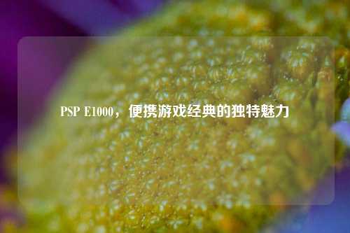 PSP E1000，便携游戏经典的独特魅力