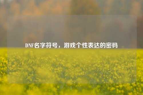 DNF名字符号，游戏个性表达的密码
