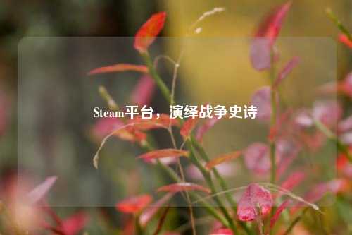 Steam平台，演绎战争史诗