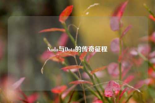 Nada与Dota的传奇征程