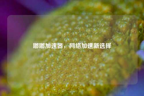 嘟嘟加速器，网络加速新选择