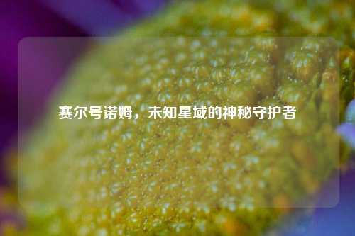赛尔号诺姆,未知星域的神秘守护者