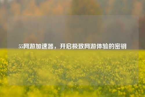 55网游加速器,开启极致网游体验的密钥