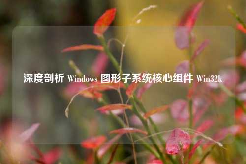 深度剖析 Windows 图形子系统核心组件 Win32k