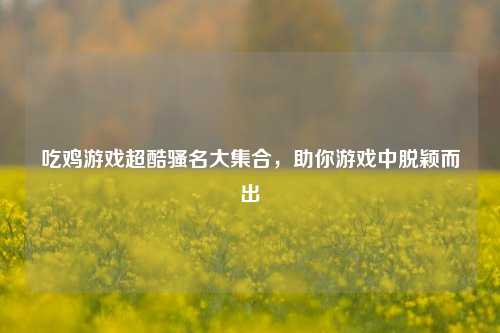 吃鸡游戏超酷骚名大集合,助你游戏中脱颖而出