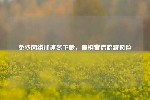 免费网络加速器下载，真相背后暗藏风险