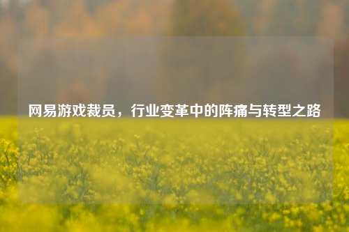 网易游戏裁员,行业变革中的阵痛与转型之路