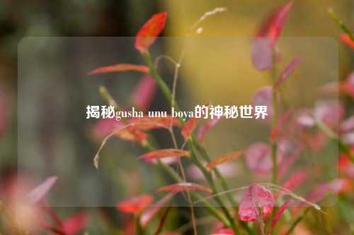 揭秘gusha unu boya的神秘世界