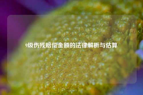 9级伤残赔偿金额的法律解析与估算