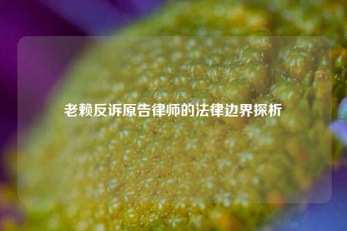 老赖反诉原告律师的法律边界探析